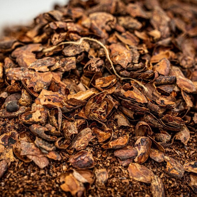 Gardening With Cacao – Ritual Chocolate