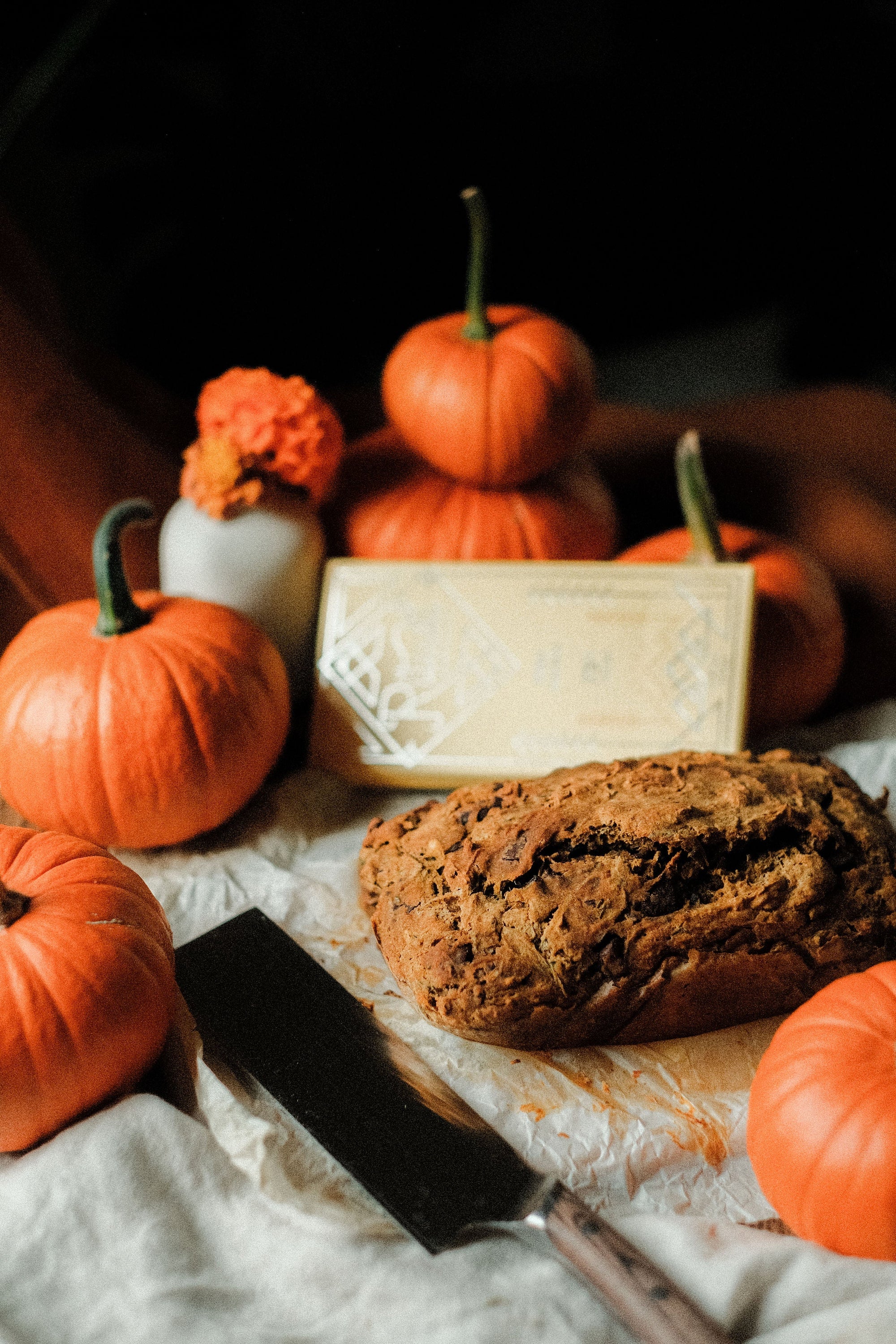 A Cozy Fall Bake: Pumpkin Zucchini Chocolate Chunk Bread